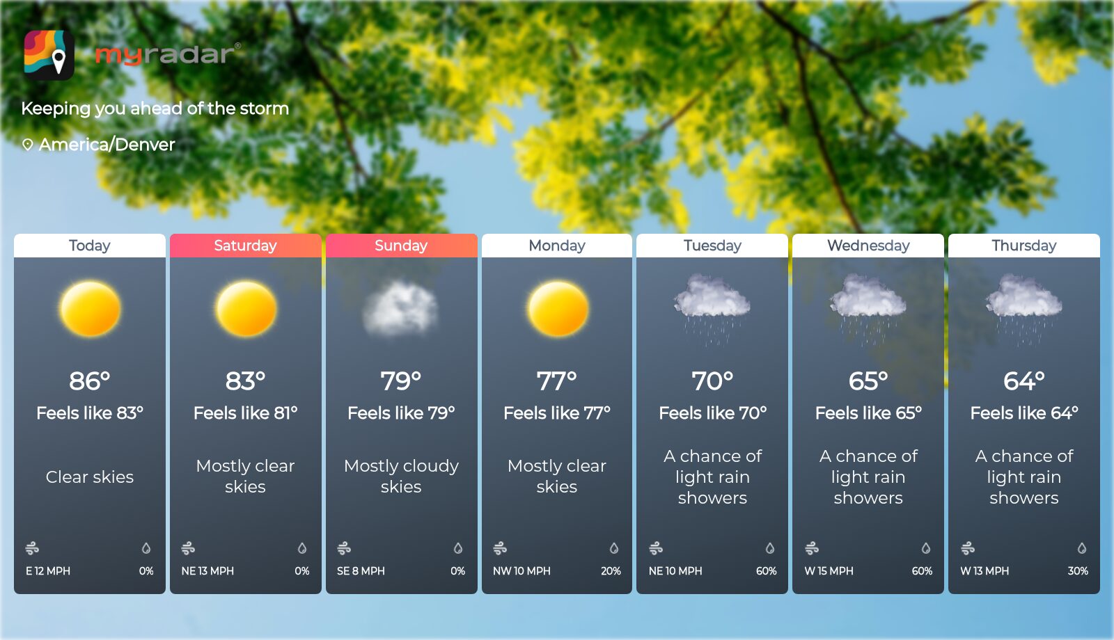 The forecast widget with the premium theme